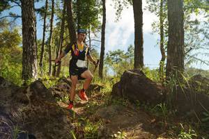 BIB: 
                            <button type="button" onclick="openModal(18915914)" class="btn btn-primary btn-sm float-right btn-popup" data-toggle="modal" data-target=".modal-high-quality">
                        <i class="fas fa-shopping-cart"></i> Add to Cart
                    </button>
                                            <button type="button" onclick="isThisMe(18915914, true)" class="btn btn-success btn-sm float-right btn-popup btn-isme hidden" data-toggle="tooltip" data-placement="bottom" title="นี่คือรูปของคุณใช่ไหม คลิกที่นี่เพื่อเอาเข้าอัลบั้ม">
                        <i class="fas fa-plus"></i> Add to album
                    </button>
                    <button type="button" onclick="isThisMe(18915914, false)" class="btn btn-warning btn-sm float-right btn-popup btn-isnotme hidden">
                        <i class="fas fa-ban"></i> Remove from album
                    </button>